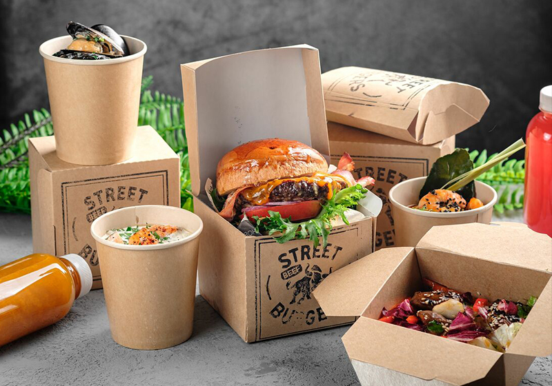 Disposable Biodegradable Paper Boxes